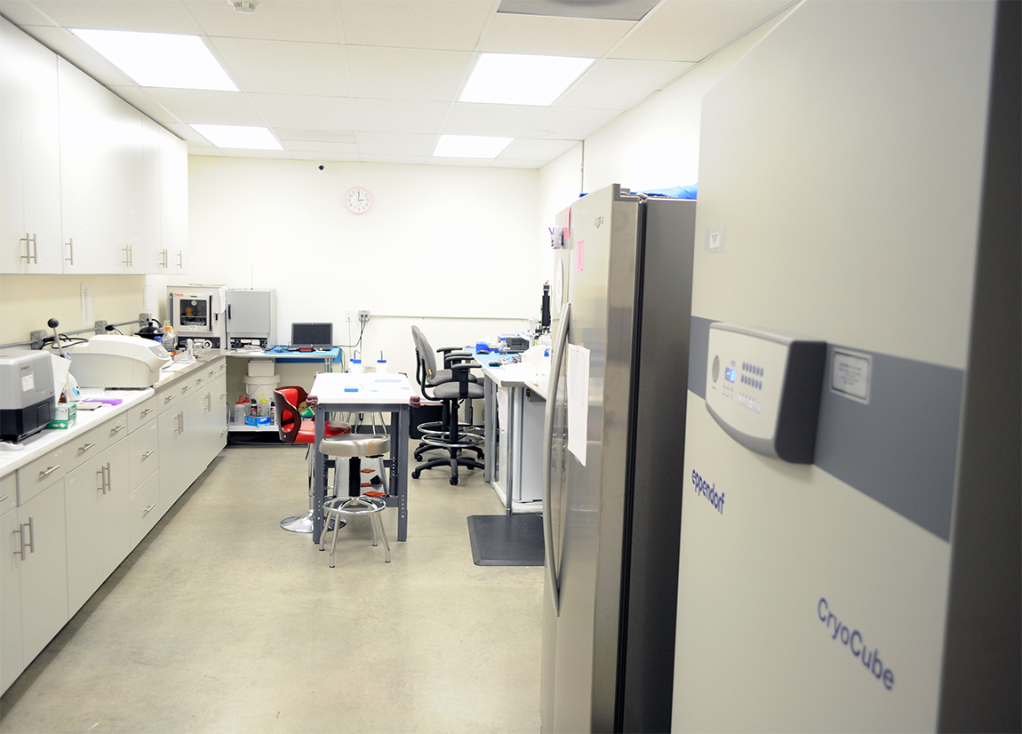 Biotechnology lab view 1