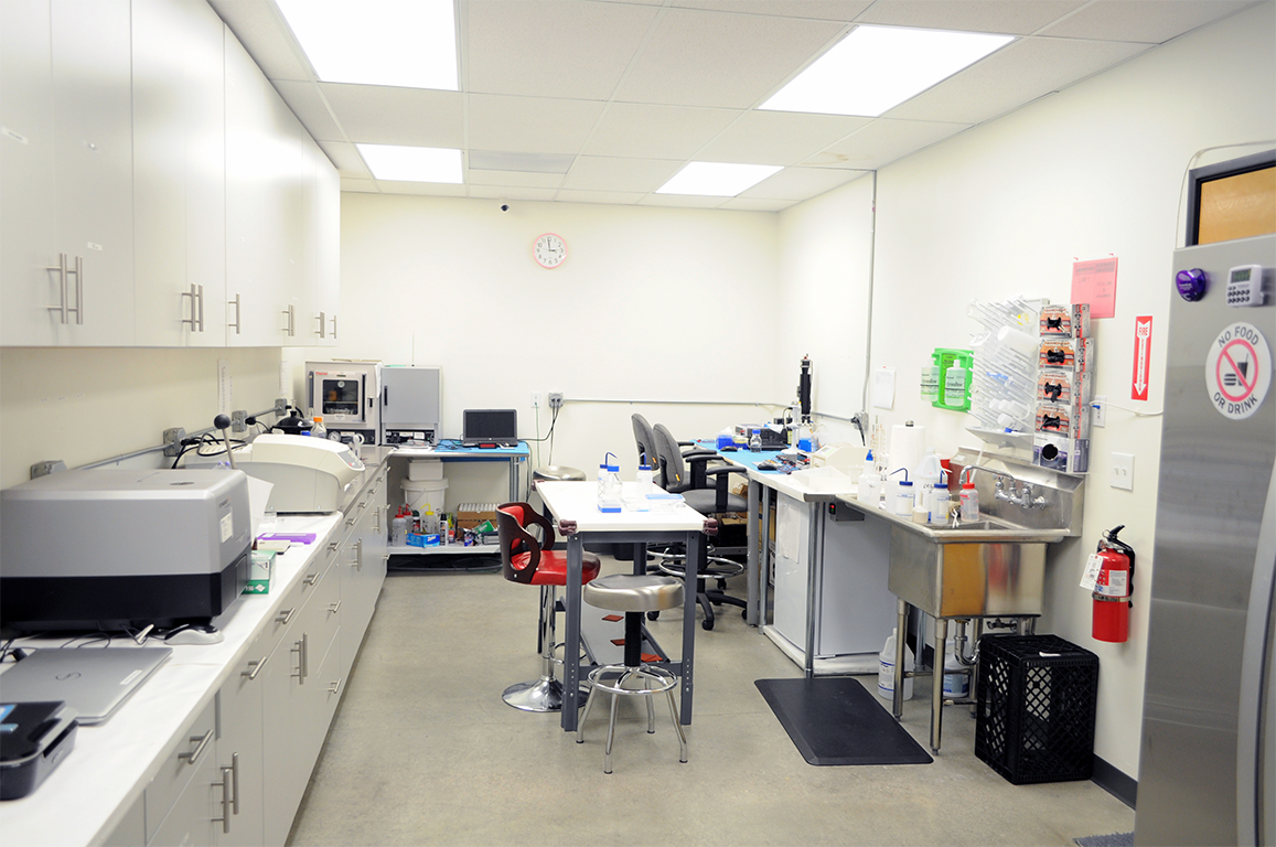 Biotechnology lab view 2