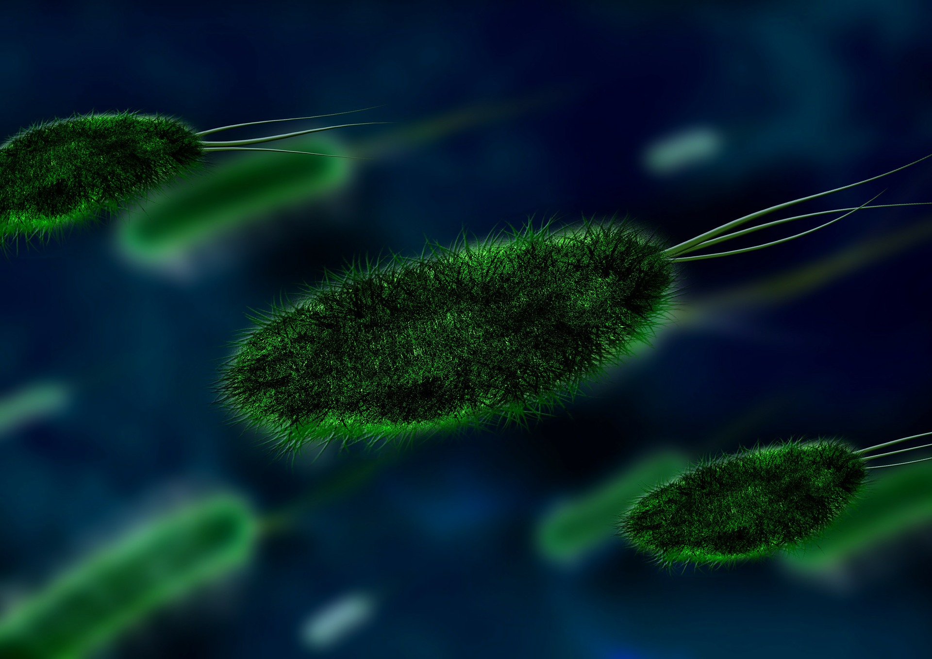 Nano-MiMo - Microbe Detection
