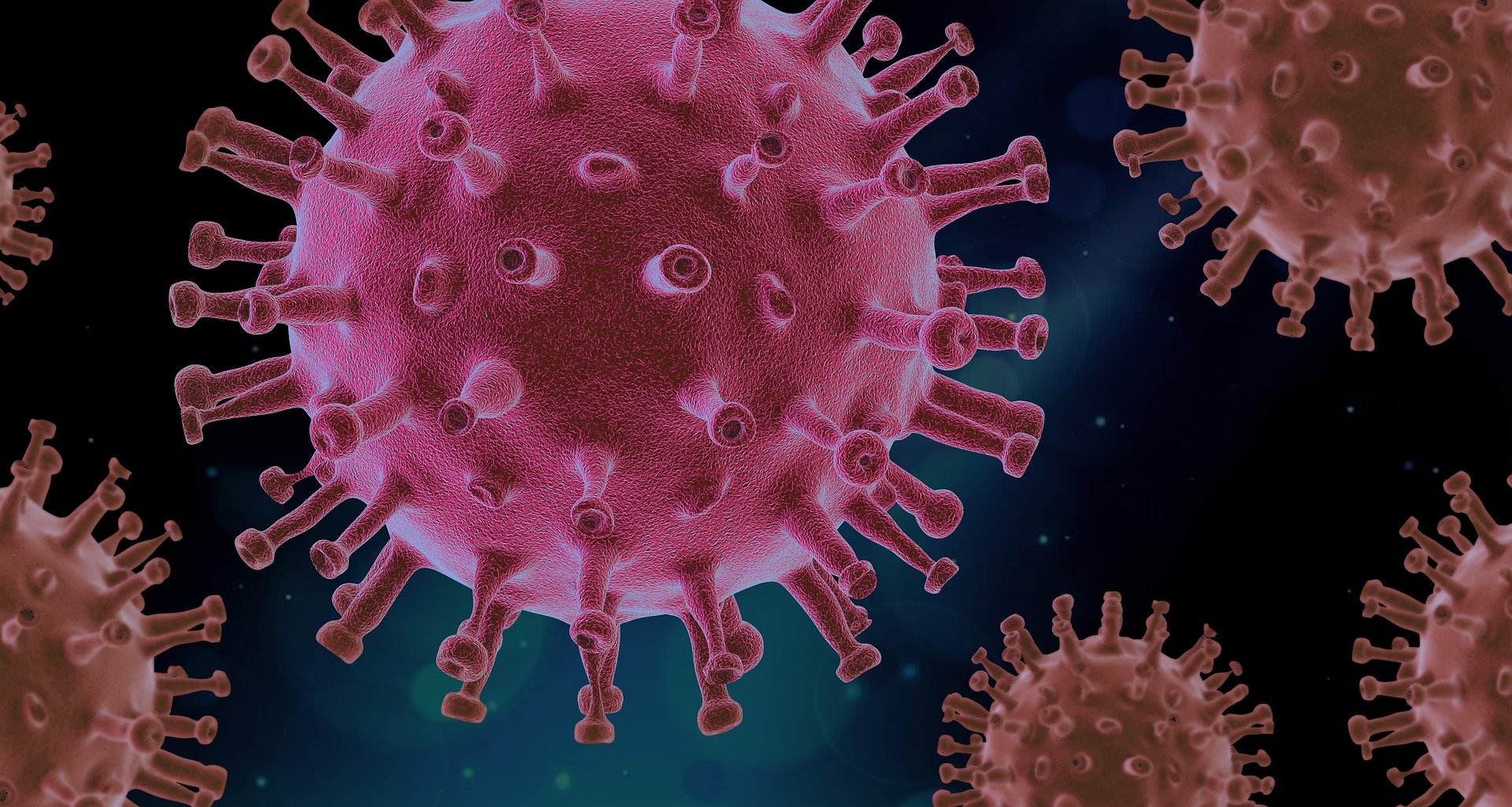 Nano-VIR - Detection of Viruses